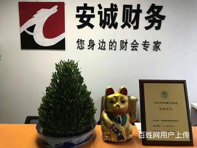 楊浦區(qū)審計(jì)驗(yàn)資、注銷變更一站式解決方案——安誠(chéng)財(cái)務(wù)王會(huì)計(jì)云平臺(tái)服務(wù)